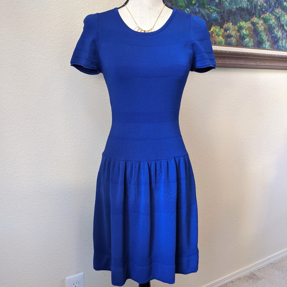 J.McLaughlin cobalt blue knit striped skaker dress